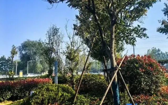Senlan Homestay (Linyi Fei Institute of Technology)