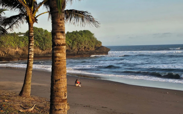 United Colors Of Bali Nature