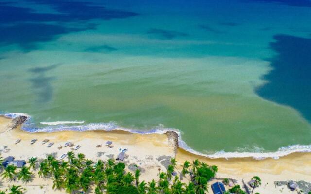Sandy Edge