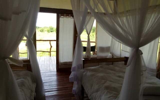 Kazinga Wilderness Safari Camp