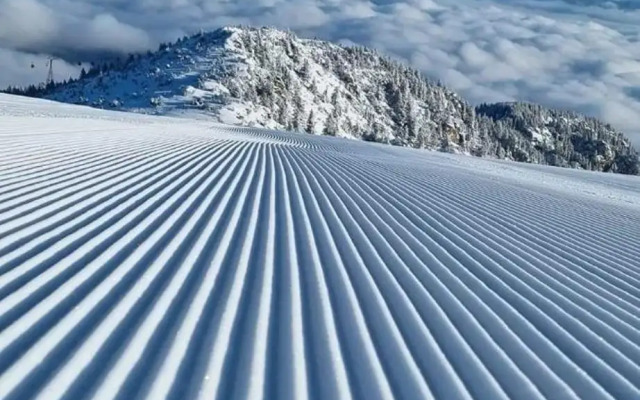 Pinewood ANG luxurious apartment A43, Borovets Gardens