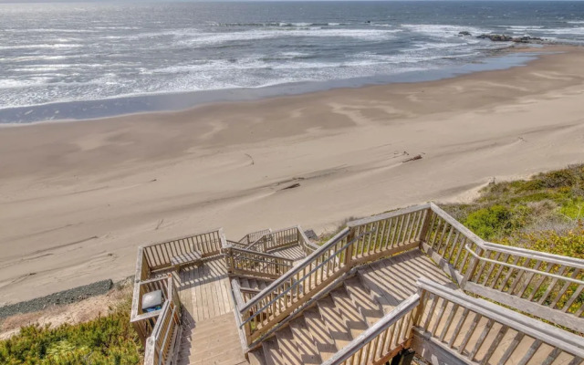 Seaz The Day-olivia Beach