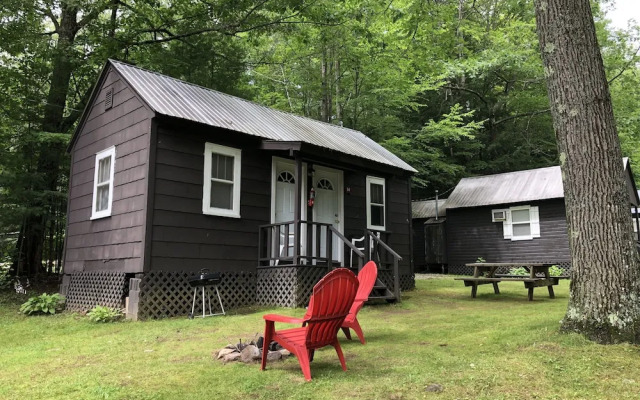 Lake George Bears Den