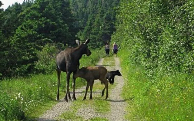 Gite au Pied du Phare