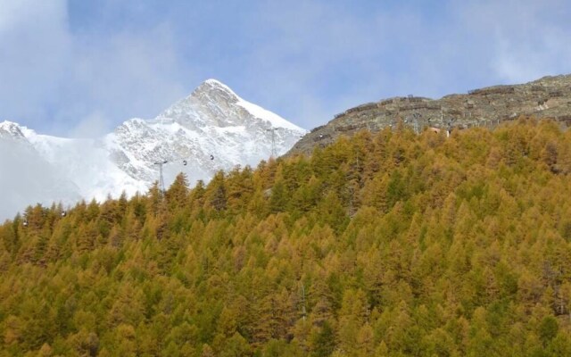 Am Vogelwald Saas-fee