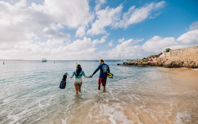 Sand Dollar Bonaire