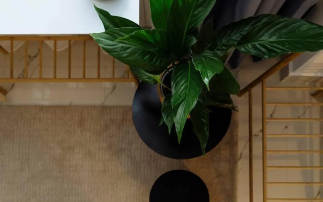 Studio with private terrace next to Cișmigiu