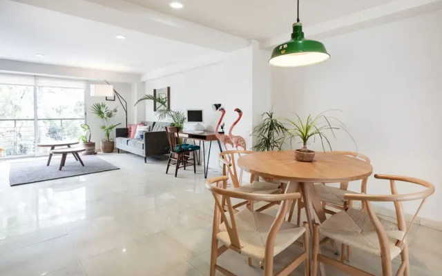 Destination Condesa @Alvaro Obregon Views 2