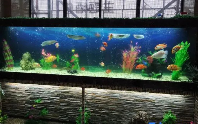 Yueyang Qingcheng Theme Hotel