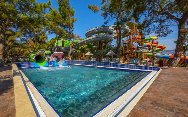 Long Beach Club Nature