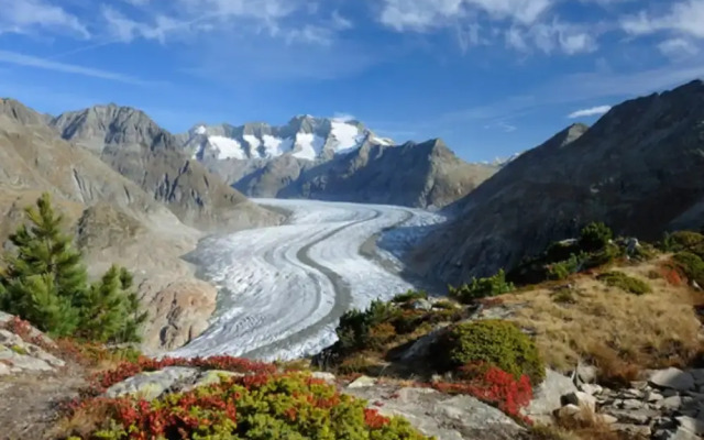 Vieux Valais Beevalais 2