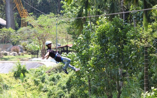 The Windflower Resorts & Spa