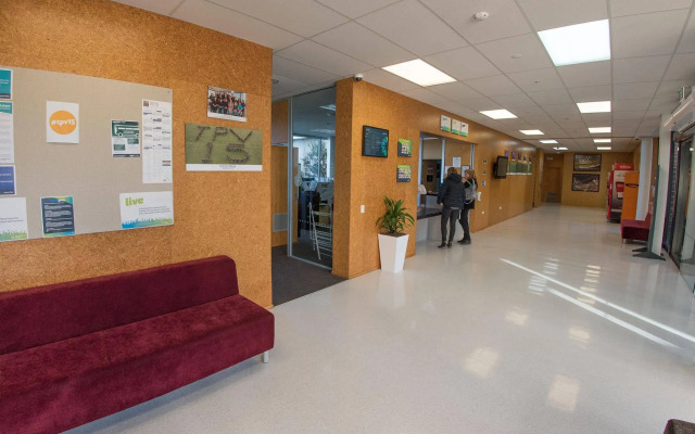 Te Puni Accommodation