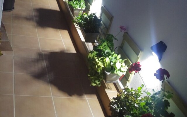 Roka Apartment
