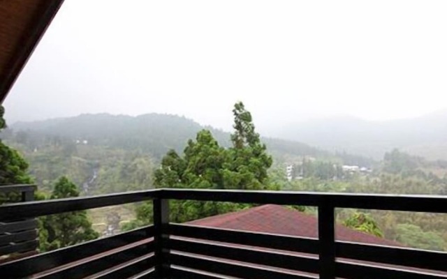 Haoshengdi