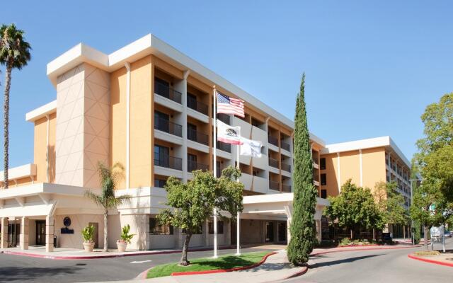 Hilton Stockton