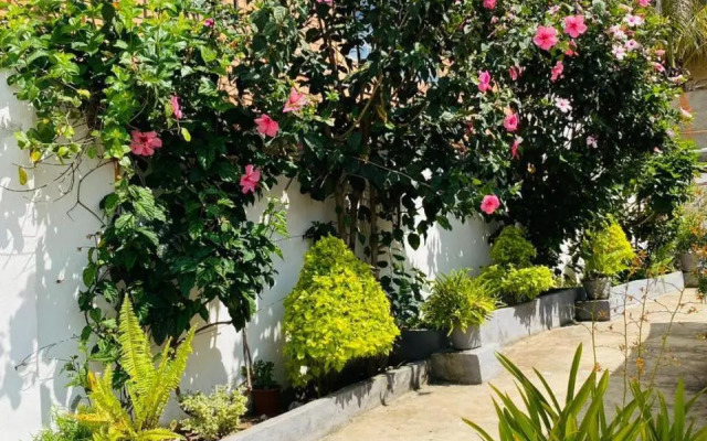 Chez Jeanne Chambre d'Hôte