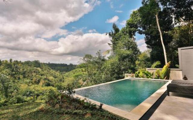 Bali Ubud villas View