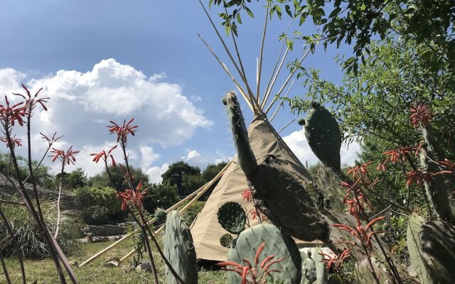 Tipi Lounge and breakfast