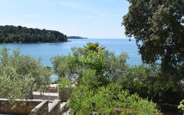 Buric House - Apartments Klasik and Studio Mini