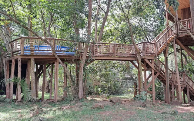 Tree House with a Pool