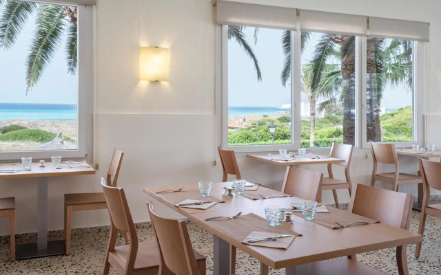 Sol Milanos Pingüinos