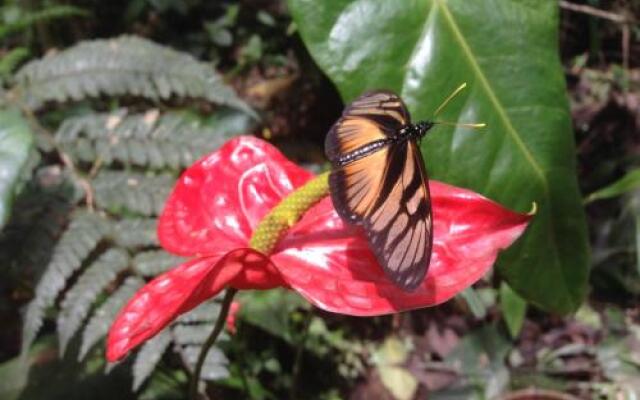 Cabañas Armonía y Jardín de Orquideas