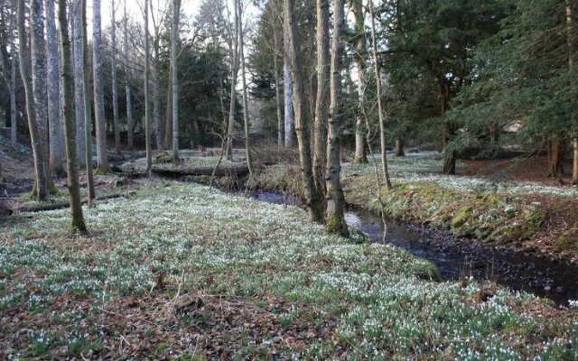 Chillingham Manor Luxury B&B