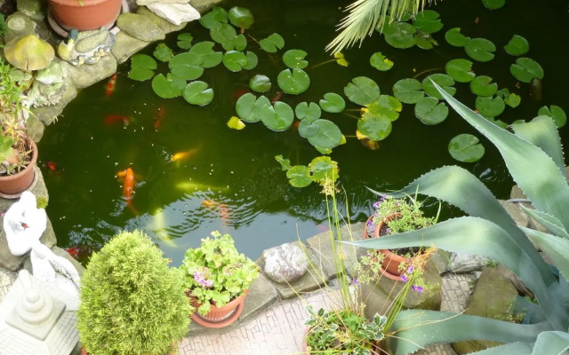 Оранжевое небо