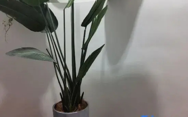 Mingya Hotel (Changchun Jilin University Second Hospital Branch)