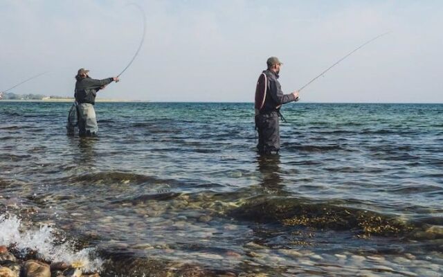 Magasingaarden Hotel Faaborg