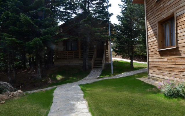 Uludag Orman Koskleri