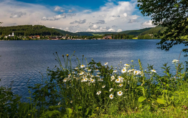 Schwarzwaldhaus Krebs - Peter Lustig, Lenzkirch, Feldberg