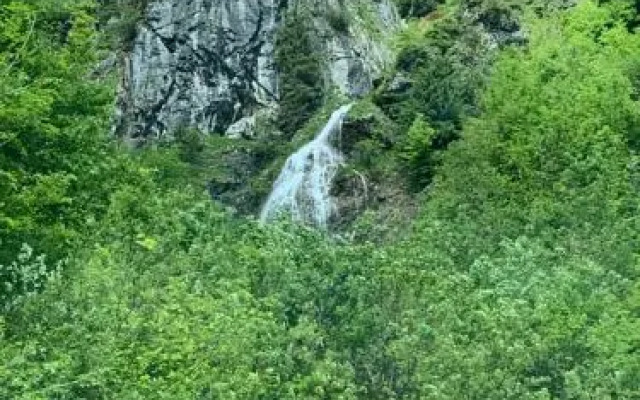 Wengerwirt
