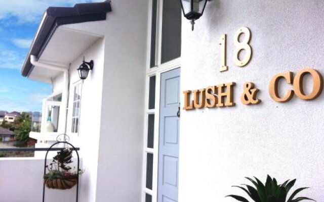 Lush & Co Auckland Bed & Breakfast