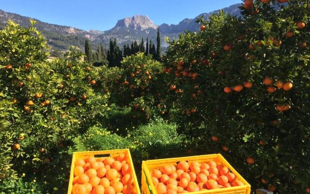 Finca Cas Sant