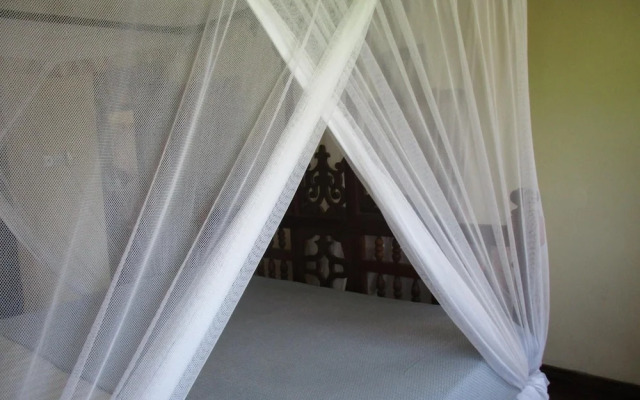 Abuso Inn