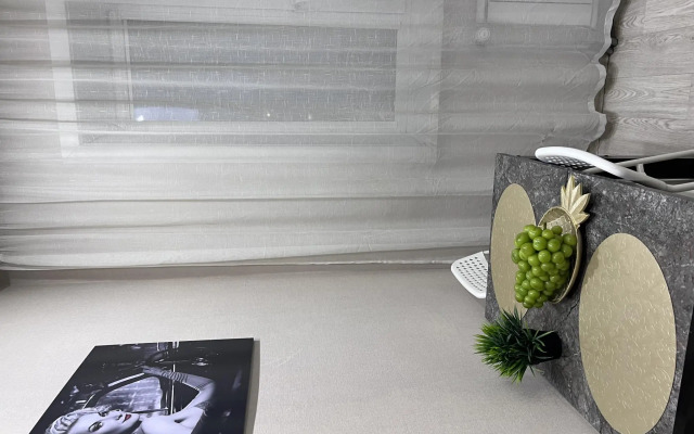 Апартаменты President на улице Карла Либкнехта 112