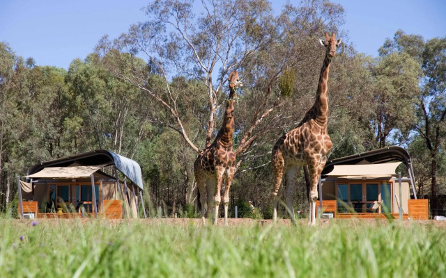 Zoofari Lodge at Taronga Western Plains