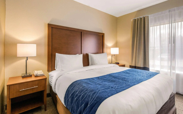 Comfort Inn & Suites IAH Bush Airport – East
