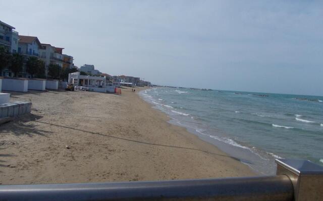 Il Ritrovo Delle Coccinelle