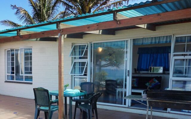 Southern Comfort - Starfish