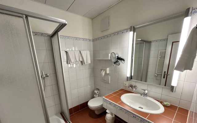E-Rooms Minusio