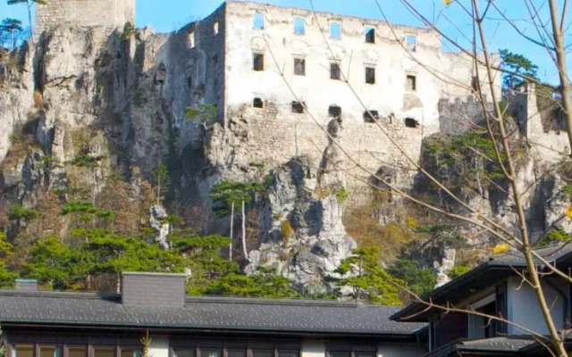 Schwarz Wienerwald Appartements