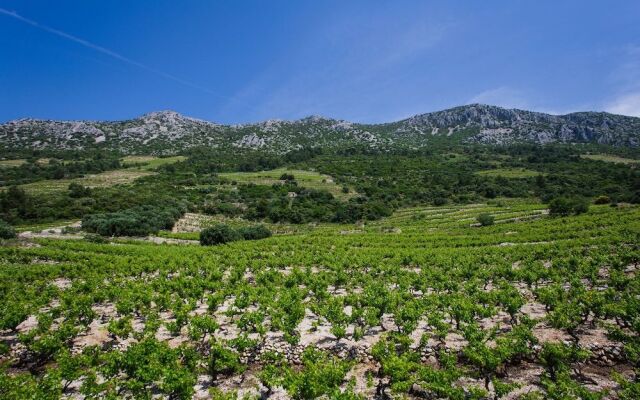 Apartments Villa Dingac - Borak