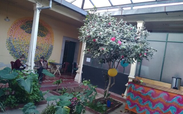 Pachama Café Hostal