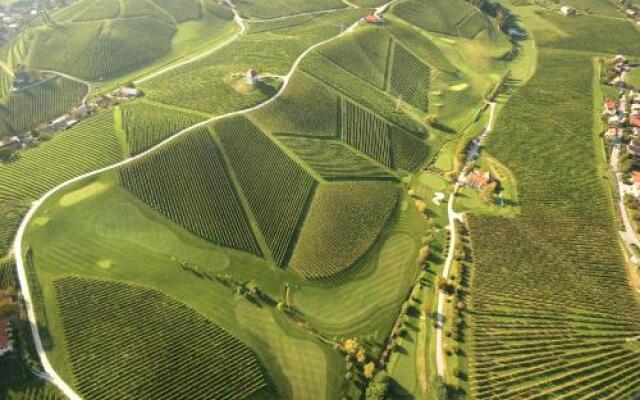 Wine Grower's Mansion Zlati Gric