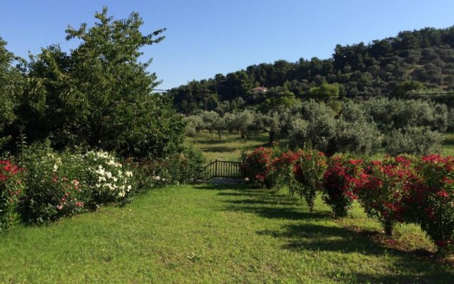 Kitty's House,country,olive grove,private,quiet,views ,1 km to skopelos ,sleeps 5