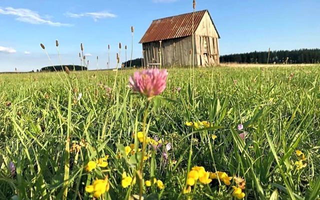 Landgasthof Rössle