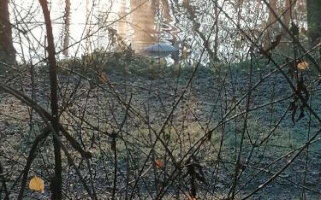 Zimmer zur ehemaligen Weinstube